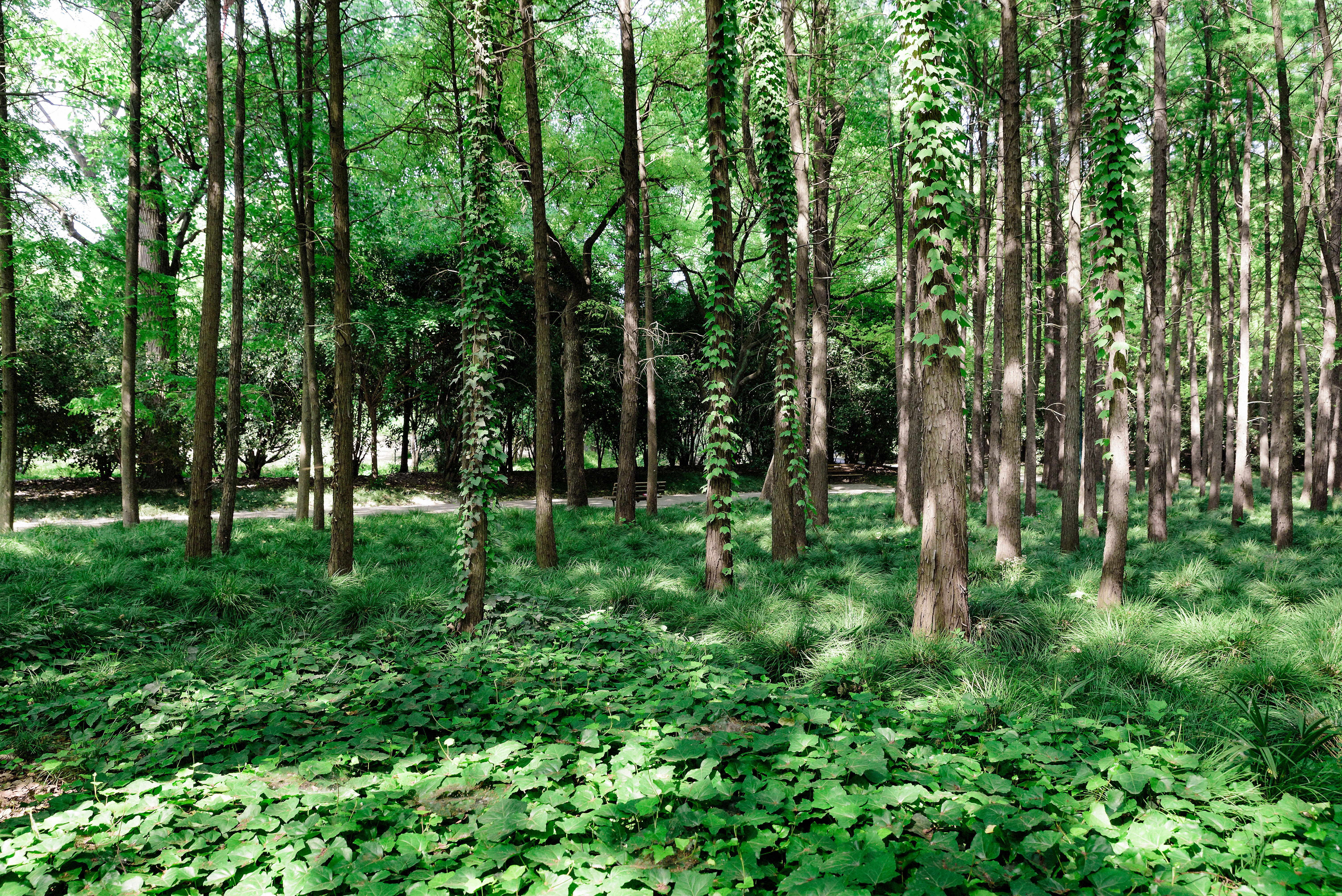 林業(yè)穿什么勞保鞋比較好，從事勞保防護(hù)用品十年人員表示：必須有這幾款！